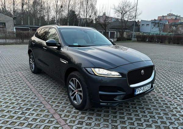 Jaguar F-Pace cena 125500 przebieg: 81000, rok produkcji 2017 z Jawor małe 562